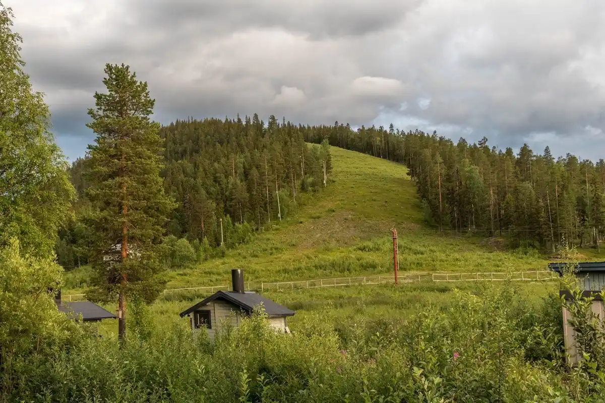 Skogsbeklätt landskap med gröna kullar och ängar vid Storklinta Skidcenter AB.