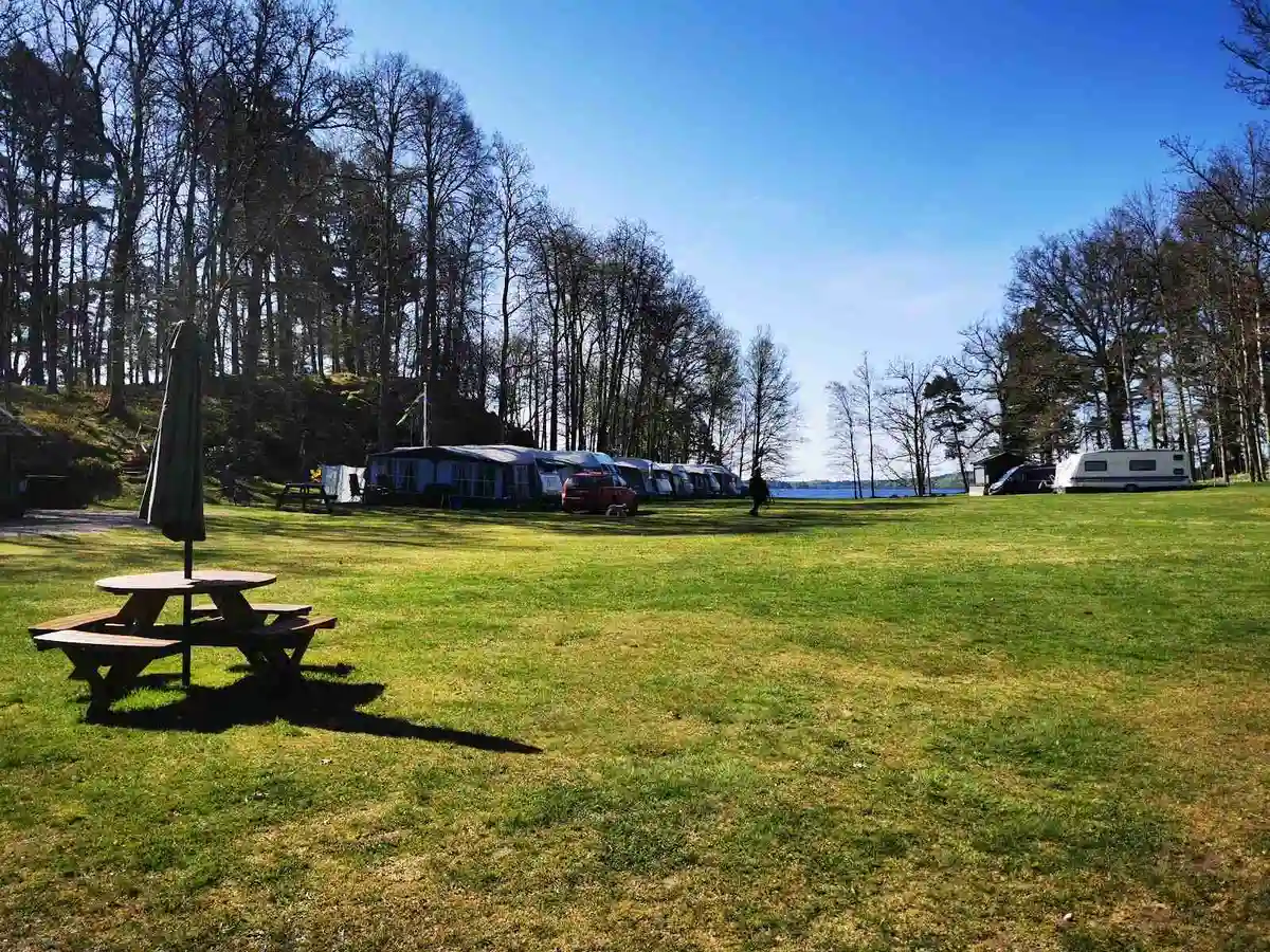 En grön gräsmatta vid en sjö, med en picknickbänk i förgrunden. I bakgrunden syns en lugn vik omgiven av skog, vilket ger en naturskön och avkopplande atmosfär på Kalvs familjecamping.