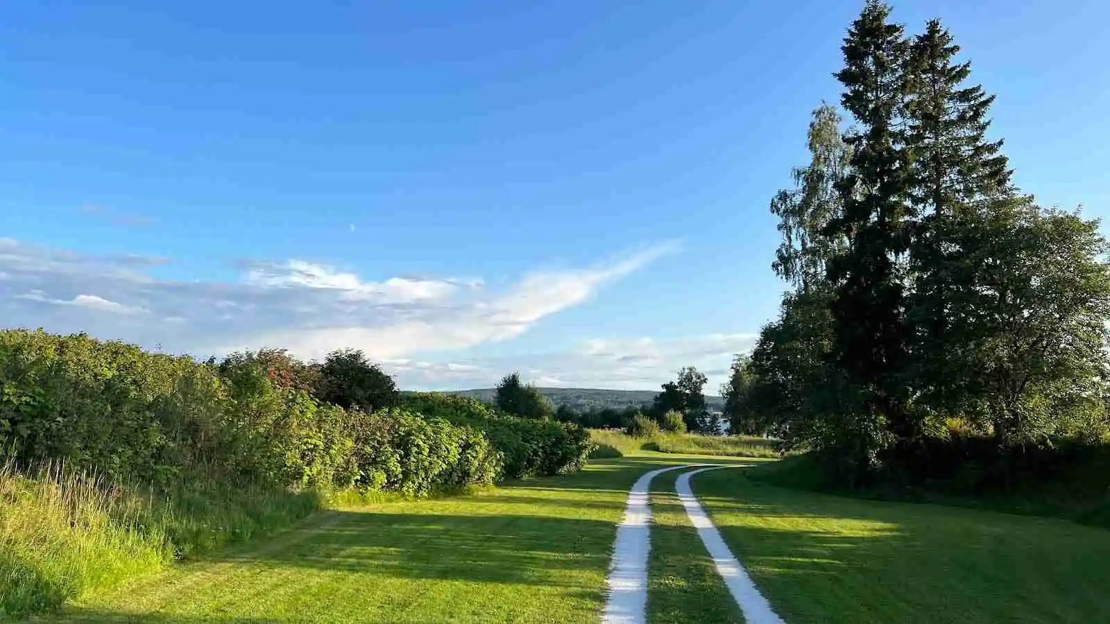 En naturskön väg omgiven av grönska och träd under en klarblå himmel vid Vreten Kursgård.