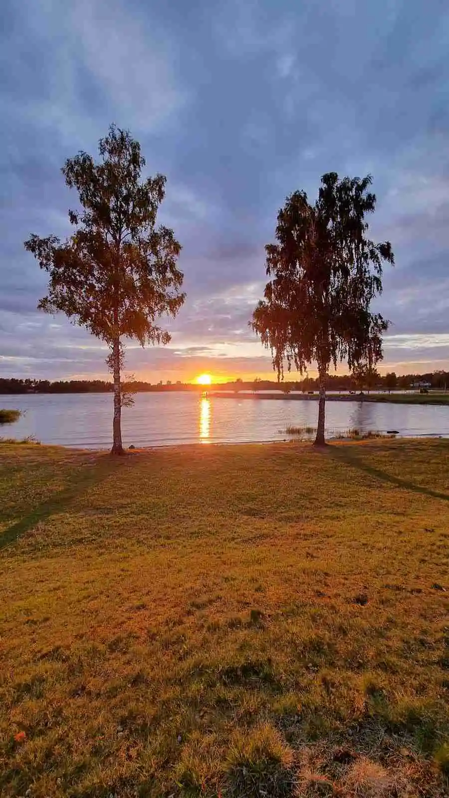 Malexander Camping: Upptäck en idyllisk campingpärla vid sjön Sommen med aktiviteter och avkoppling för hela familjen.