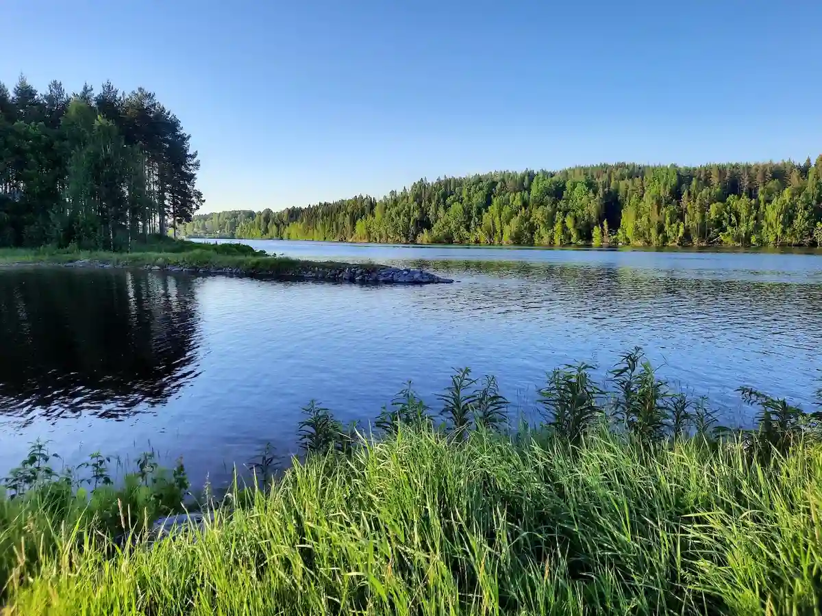 En naturskön utsikt över Vindelforsarnas vatten med frodig grönska runt omkring, där det blå vattnet strömmar genom det naturliga landskapet.