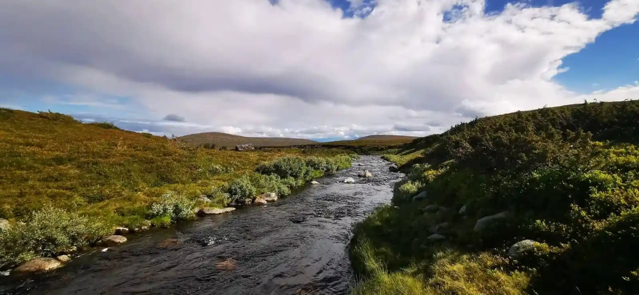 En pittoresk vy över en forsande bäck som rinner genom ett kuperat landskap vid Idre Fjäll Camping, omgiven av moln och vildmark.