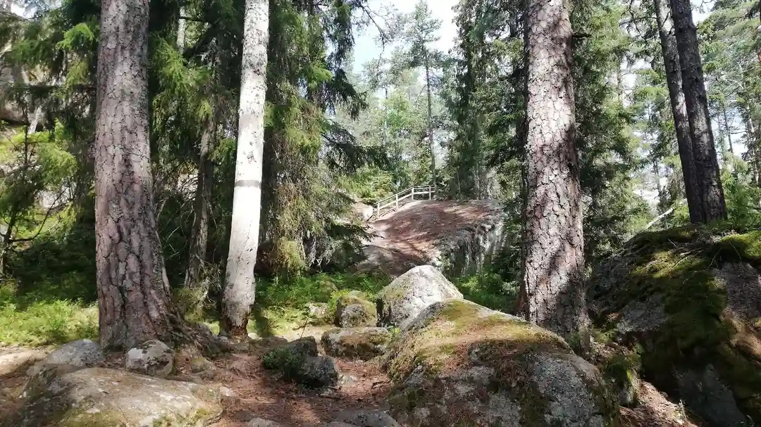 Upptäck Tivedens magiska natur på Stigmansgården – en fridfull tillflyktsort för äventyr och avkoppling med familj och vänner.