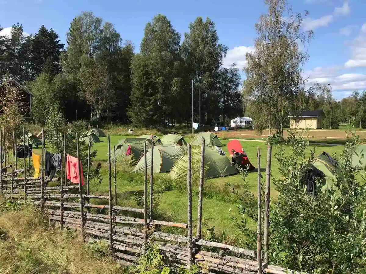 En grön campingplats med tält uppställda på en äng omgiven av växter och skog, perfekt för rekreation och avkoppling i naturen.