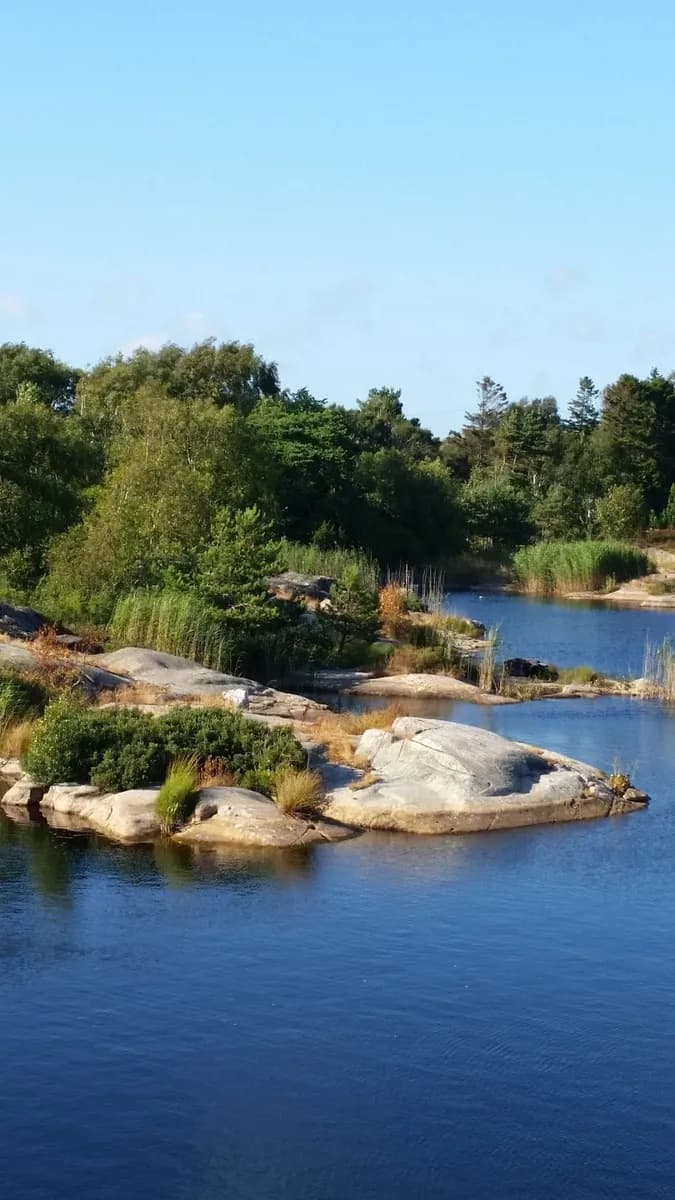 Njut av naturens lugn nära staden på Löfgrens Camping i Lysekil. Hållbar semester nära havet och charmiga Lysekil. 🌿🏕️
