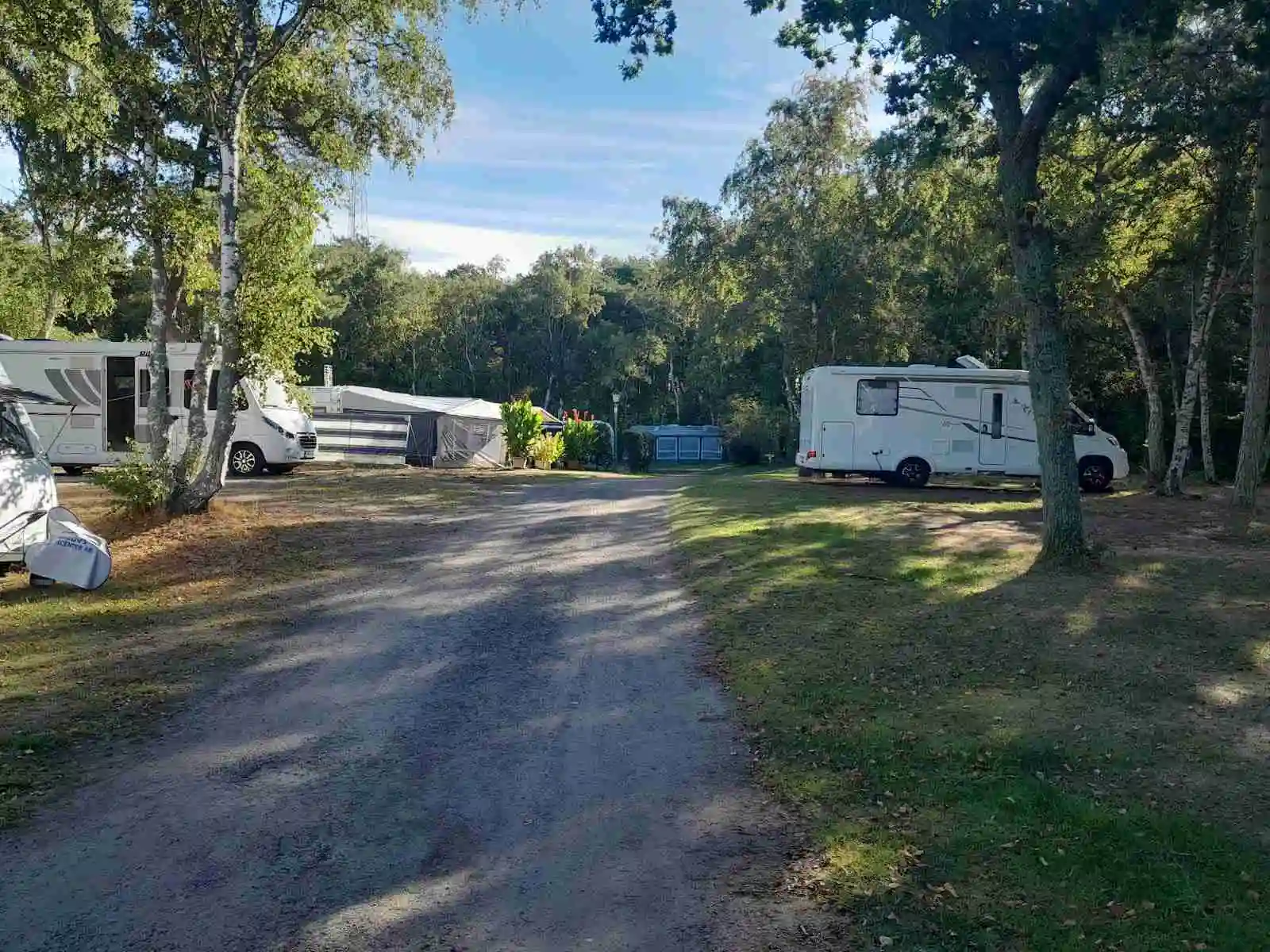 En campingplats med flera husvagnar och husbilar parkerade under träden.