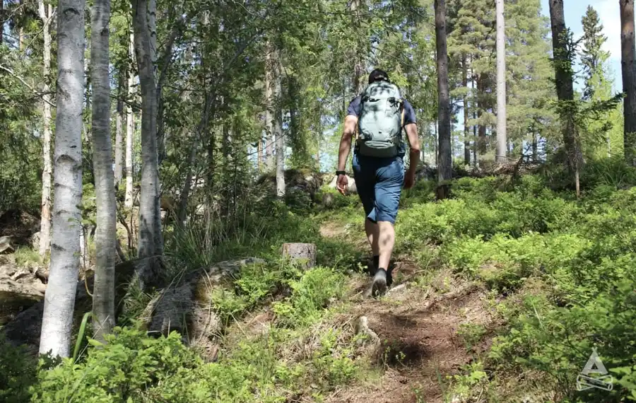 En person med ryggsäck vandrar i en skog på Bjursås Berg & Sjö, omgiven av frodig grönska och vildmark. Perfekt för friluftsaktiviteter och äventyr.