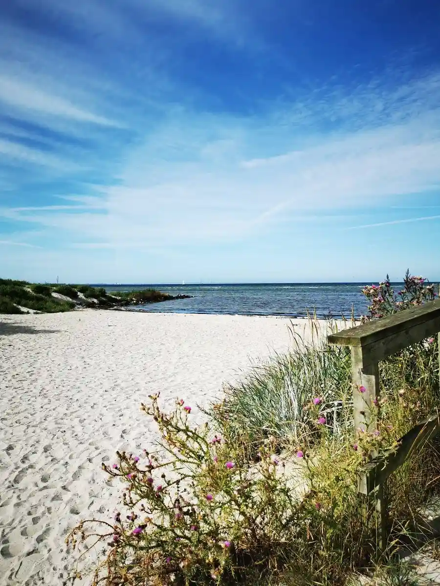 Lomma Camping: En harmonisk oas där kustens rytm möter modern komfort – din fridfulla tillflyktsort vid havet.