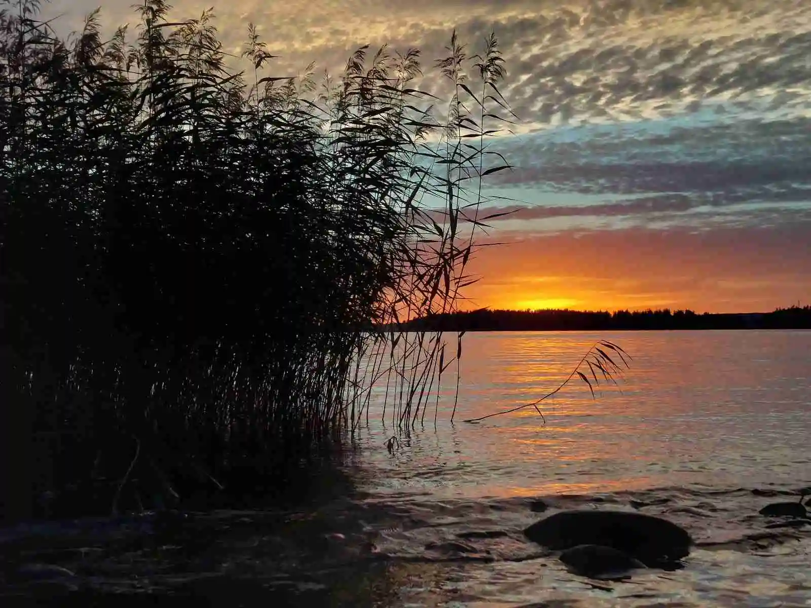 En stilla sjö omgiven av skog vid solnedgången, himlen färgas i varma toner av skymning över campingen i Tiveden.