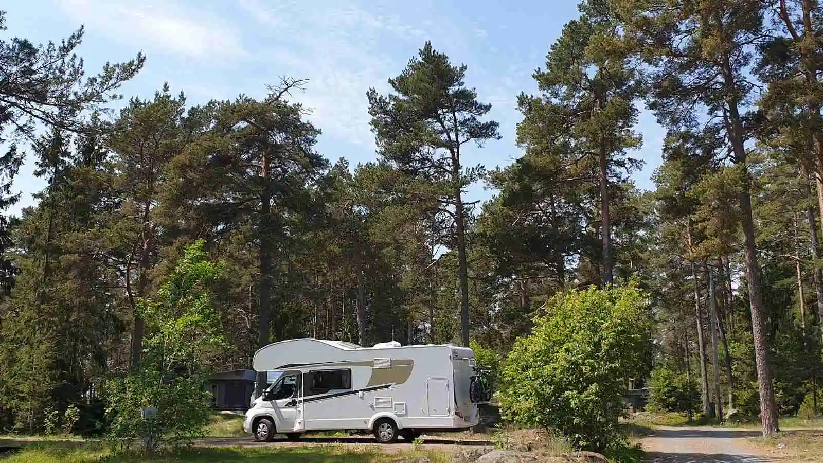 En campingplats omgiven av tallar och grönska, med husvagnar och en husbil parkerade.