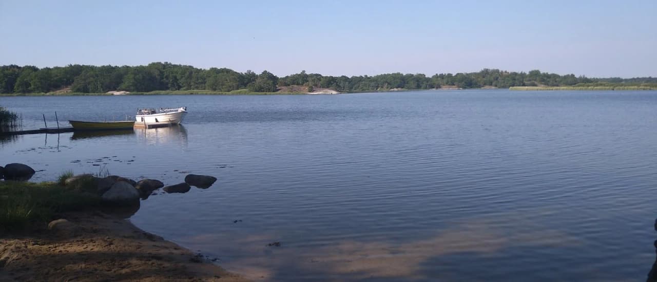 En lugn kustlinje vid Kustgården Senoren visar en bred vattenyta med närliggande grönskande strand och himmel i bakgrunden.