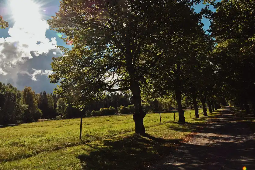 Åkerby Herrgård: En herrgårdsidyll vid Fåsjön med boende, gourmetmat och aktiviteter för alla årstider. Kom och upplev magin!