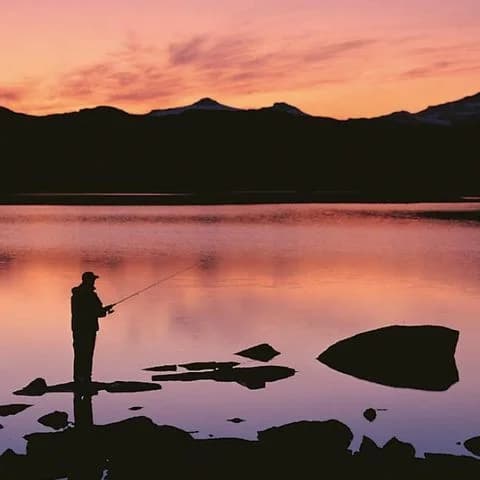 Björklidens camping: En historisk fjälloas för äventyr och avkoppling, belägen 25 mil norr om polcirkeln.