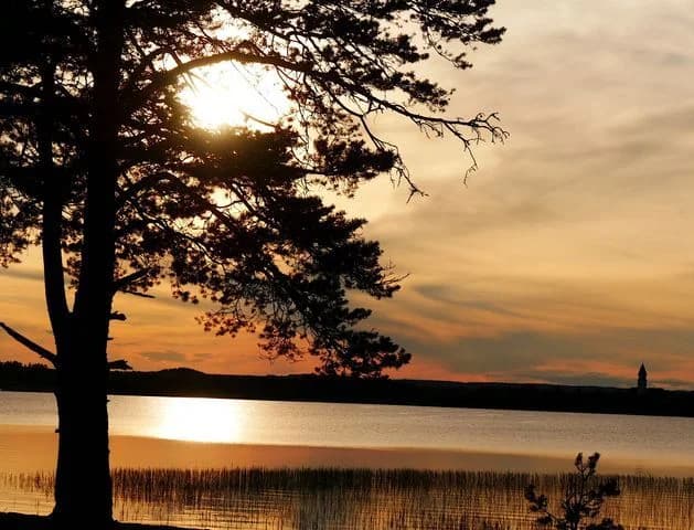 Stillhet vid sjön, elplatser, husdjursvänligt, stugor, promenader, fiske, Burträsk Camping - en fridfull norrländsk juvel.