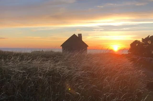 Upptäck Ölands pärla – Djupviks camping, där avskild harmonisk natur möter strandens ro och historiska vingslag.