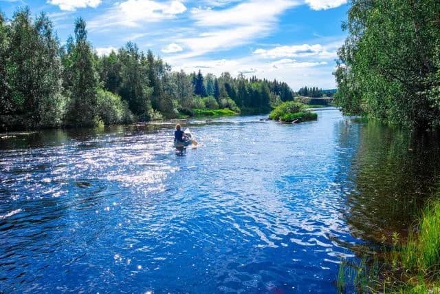 Doro Camp Lappland: Din oas vid "vildmarksvägen" i Dorotea. Upplev äventyr, natur och avkoppling i magiska Lappland!