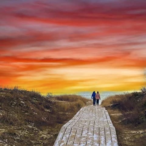 Falsterbo Camping & Resort: Njut av strandliv och naturäventyr på den svenska Rivieran, med komfort och hållbarhet i fokus.