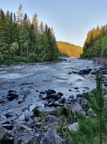Utforska Färsåns Fritid och Fiskecamp: Fridfull camping och fiskeparadis vid Ammerån – Ångermanlands natursköna smycke!