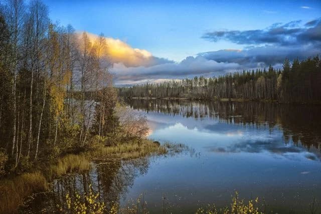 Njut av tystnaden och äventyret vid Lake Österjörn camping, där komfort möter norra Sveriges vildmark.