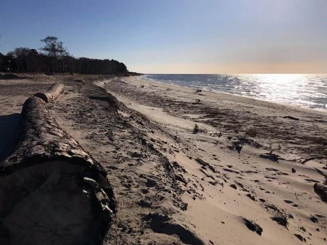 Njut av natursköna äventyr vid Löderups strandbads camping, där Skånes kust och lugn förenas med bekvämt boende!