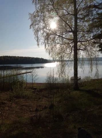 Moheds Camping: En harmonisk tillflyktsort vid Florsjön – njut av natur, äventyr och komfort i hjärtat av Hälsingland.