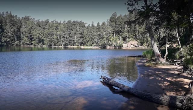 Mullsjö Camping: En naturskön oas vid sjön Stråken, perfekt för avkoppling och äventyr med moderna bekvämligheter.
