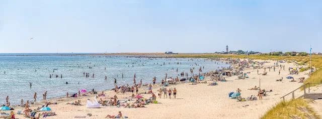 Upptäck Olofsbos charm vid havet – camping, kultur och glädje för hela familjen på Sveriges västkust!