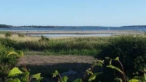 Upplev stillhet vid havet på Rågelunds Camping, din oas för avkoppling och naturupplevelser mellan Åsa och Frillesås.