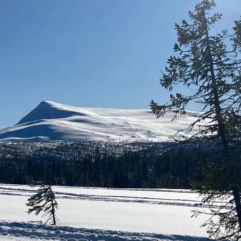 Upplev fjällmagi på Saxnäs Fjällcamping – där natur, komfort och äventyr möts med varm, personlig service.