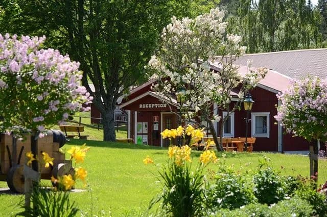 Upptäck magiska Tiveden på Stenkällegården: campingäventyr och naturskön avkoppling för hela familjen!