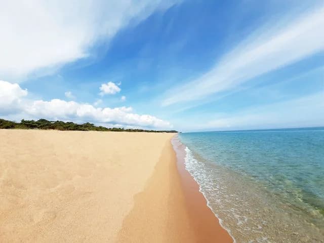 Tobisviks Camping: Din naturnära flykt vid havet i Österlen, perfekt för både avkoppling och äventyr!