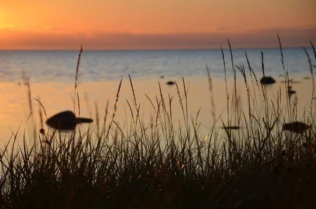 Visby Strandby: Magisk camping vid havet nära Visbys historiska charm. Upplev avkoppling, äventyr och fantastisk natur!