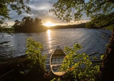 Upptäck Wetlandi vid Ivösjön: Naturens fristad för äventyr och lugn, perfekt för paddling och unika naturupplevelser.