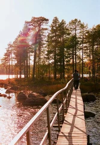 Njut av rogivande stunder i naturen vid Stora Stenträsk – en avkopplande flykt utan moderna distraktioner.