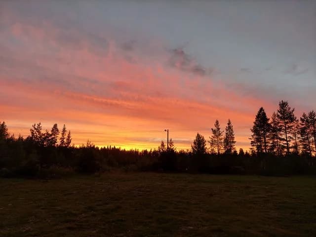 Vildmarksparadiset i hjärtat av naturen – upplev lugnet och äventyret på Nederhögen Vildmarkscenter.