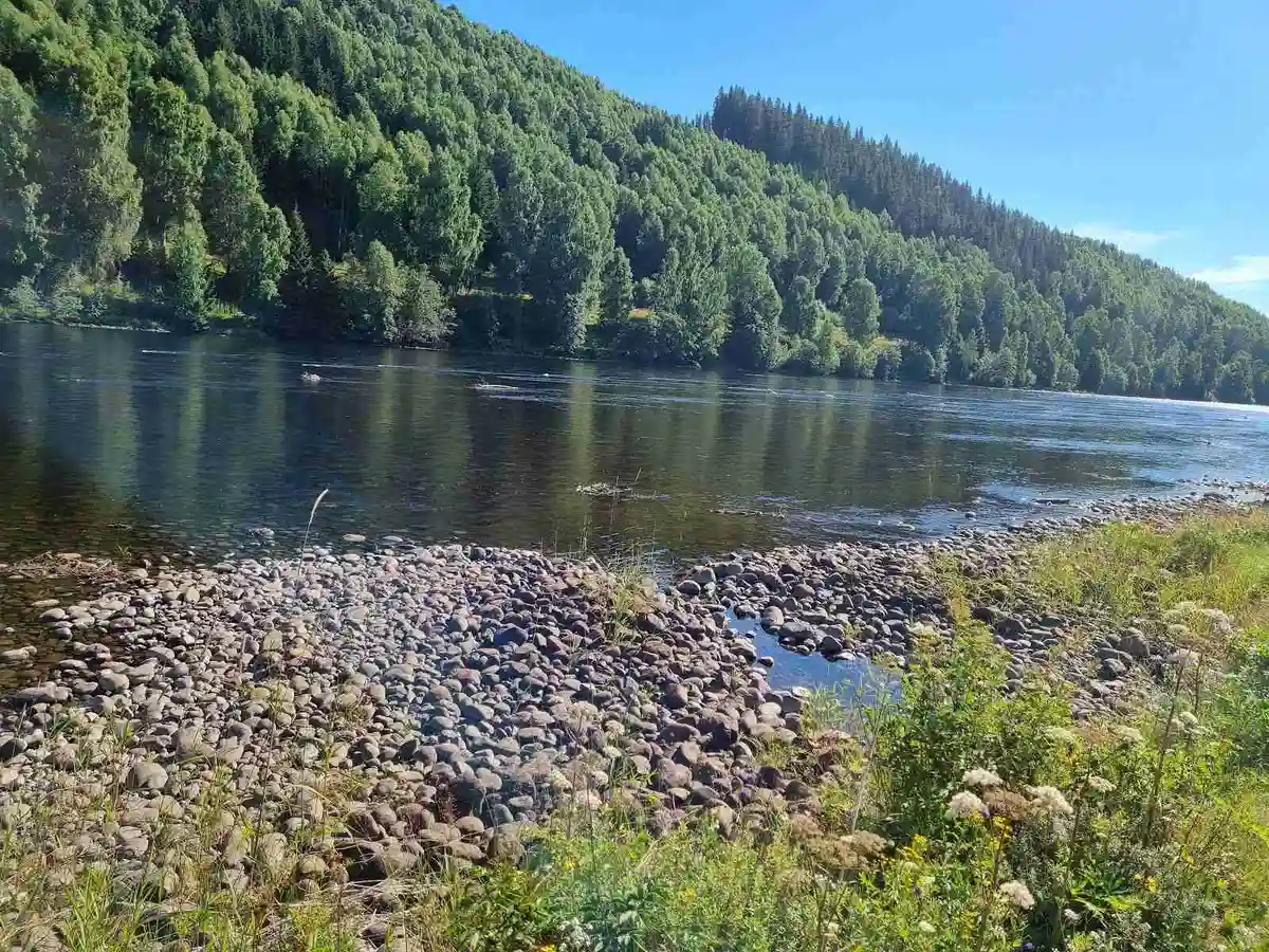 Bråtens Camping: En naturnära idyll vid Klarälvens strand, perfekt för avkoppling och äventyr i Värmlands vackra landskap.
